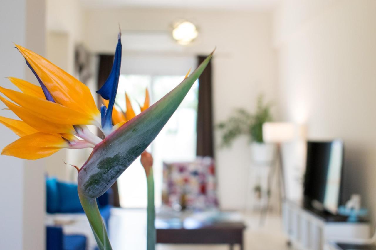 Blue Iris: Stylish Apartment Just 10 Minutes Walk From Old Town Chania ハニア エクステリア 写真