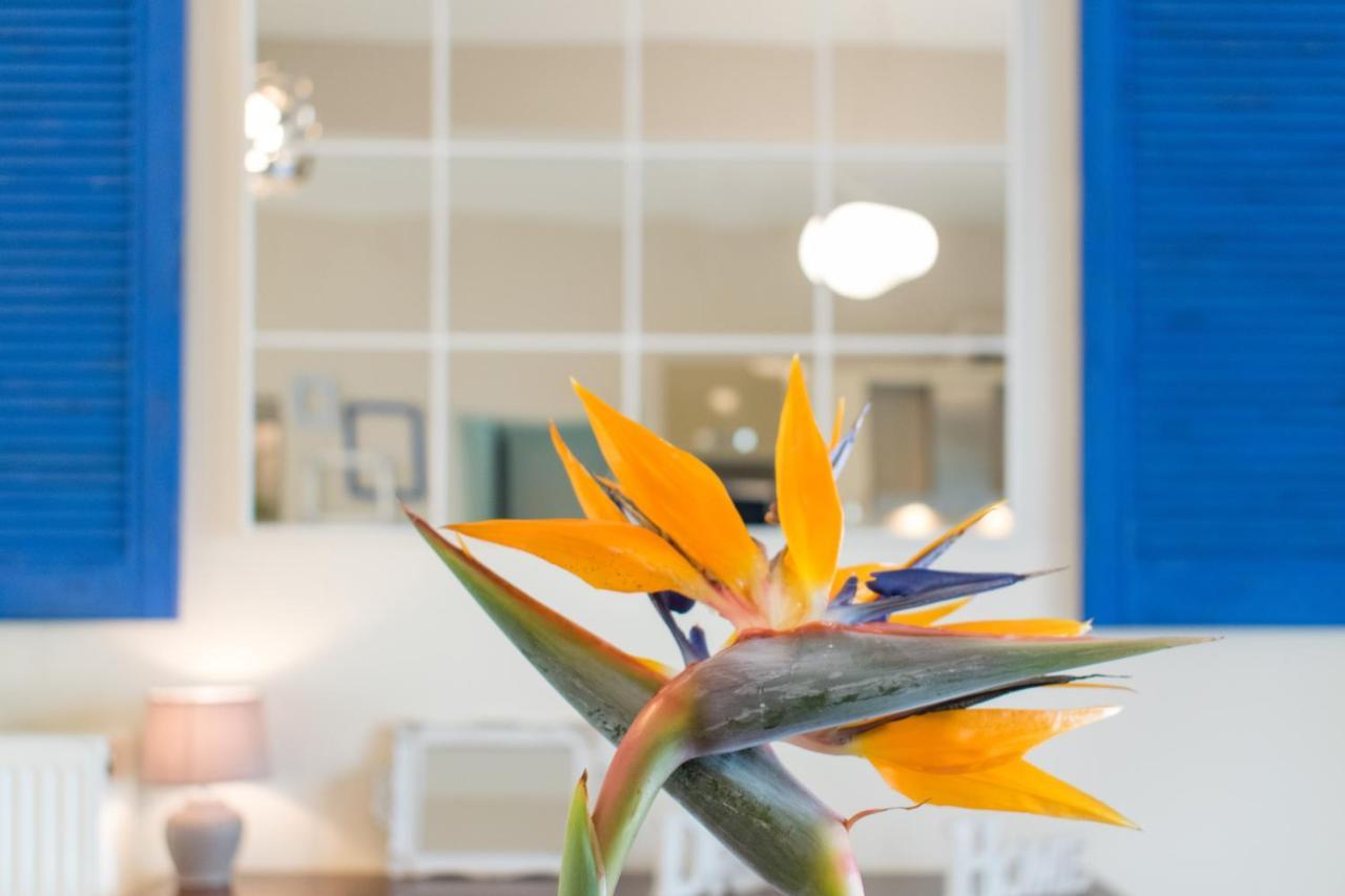 Blue Iris: Stylish Apartment Just 10 Minutes Walk From Old Town Chania ハニア エクステリア 写真